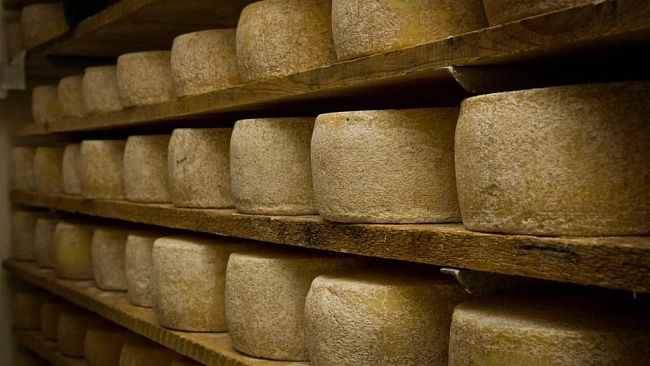 Consorzio Pecorino Toscano DOP, perplessità su accordo Ceta