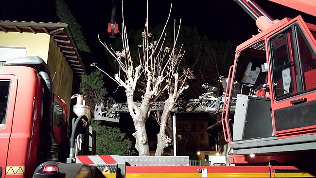 Maltempo: continua il forte vento e gli interventi dei Vigili del Fuoco