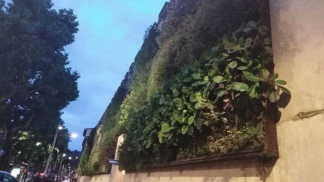 Parte con 27 pareti verdi la forestazione urbana di Firenze