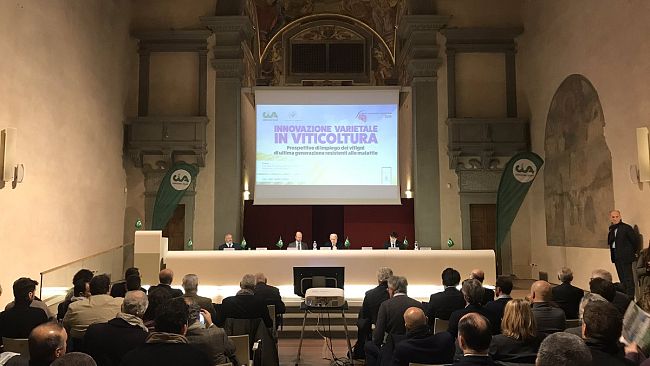 ​Vino, al Forum nazionale di Firenze: innovazione per rafforzare il Made in Italy