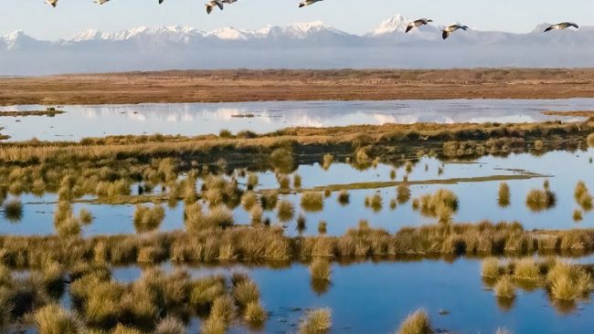 Lago Massaciuccoli: 2 milioni di euro per progetti di risanamento
