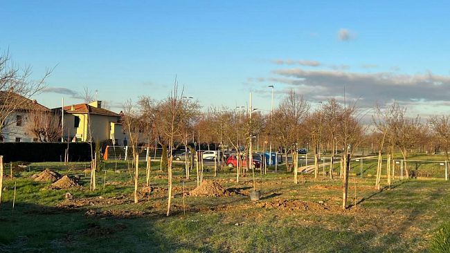 Nuovo parco di San Bartolo a Cintoia, piantati 150 alberi