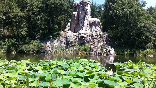 Parco Mediceo di Pratolino: arrivano 30 nuove piante