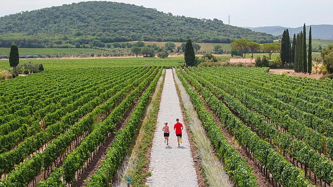 Super Tuscan Ecomarathon: il 2 ottobre 2021 nella Costa degli Etruschi