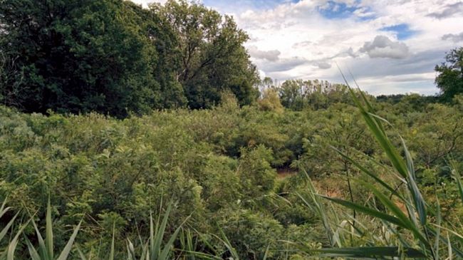 Oasi naturali: ripartono le visite