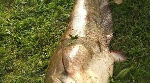 Le tre regole d'oro per pescare in sicurezza