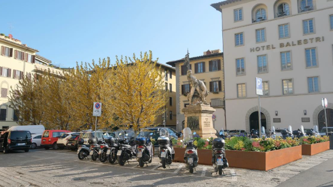 Nuovi alberi in mezzo al cemento: al via la forestazione urbana
