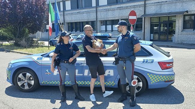 La Polizia salva un gatto che vagava in autostrada