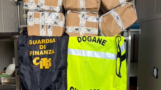 Livorno: sequestro in porto di caviale e verdesca