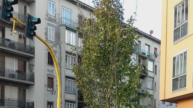 Semaforo in lungarno Moro, interrogazione di SPC