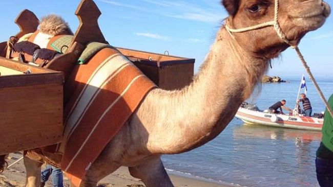 Pulita la spiaggia del Gombo, in azione 500 volontari