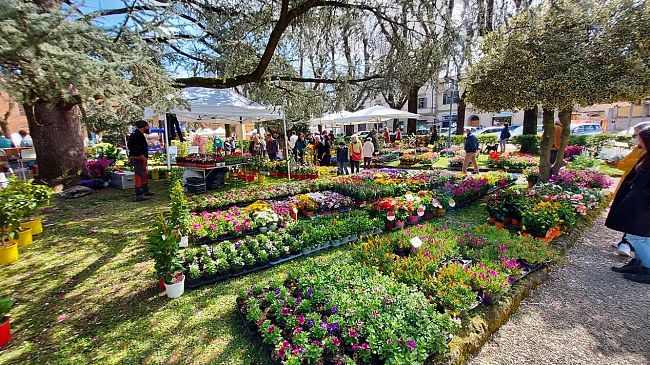 Fiorinfiera 2023: Borgo San Lorenzo a metà aprile
