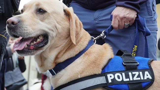 Fiorentina 59enne denunciata per maltrattamento di animali