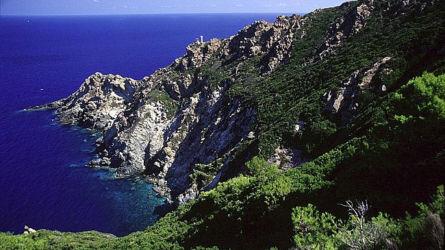 Ripartono da Portoazzurro le visite guidate alla scoperta di Montecristo