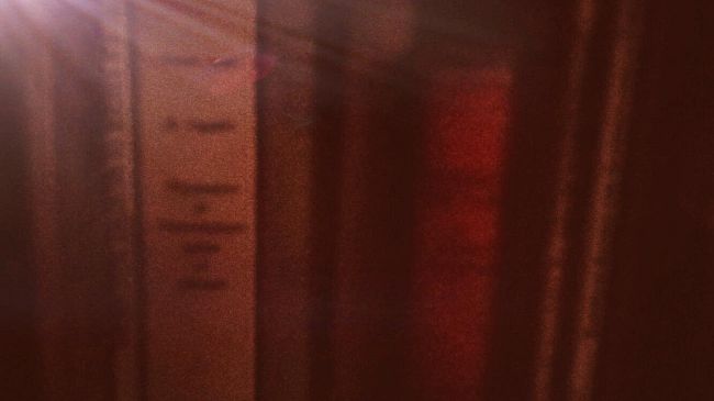 Ricordando Orazio Borselli libraio storico della Marzocco