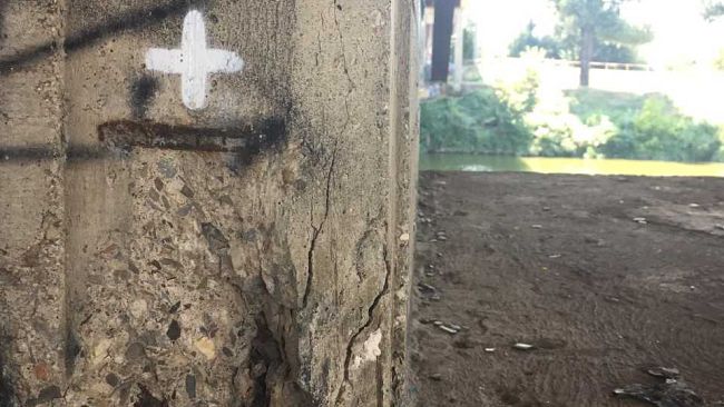 Firenze: rischio usura per il ponte del tram alle Cascine?