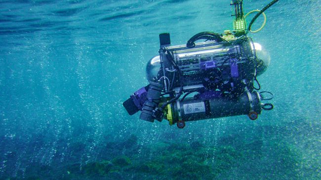 Robot fiorentino cerca anidride carbonica nel mare