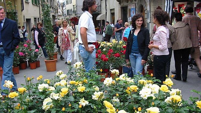 Primavera: a San Casciano mostra floro-vivaistica dedicata alla rosa e al vino