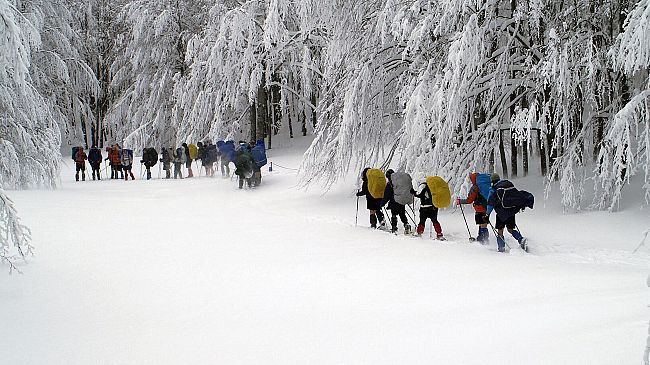 Sta cadendo finalmente tanta neve sull'Appennino Tosco-Emiliano