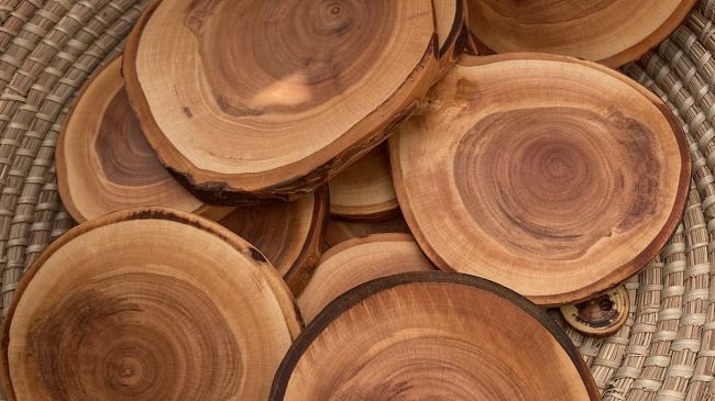 La Fierucola dei Legnaioli in piazza Ognisaniti domenica 28 aprile