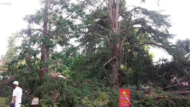 Maltempo: come ottenere il risarcimento dei danni