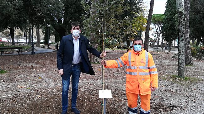 firenze-festa-dellalbero-al-quartiere-3
