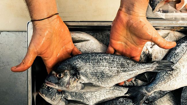 Metro Italia lancia anche da Firenze la campagna #ioamoiristoranti