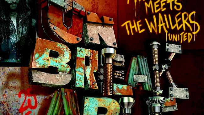 Alborosie in concerto all'Auditorium Flog 