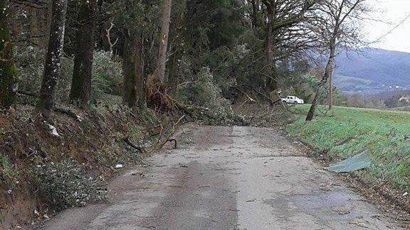 Maltempo: le informazioni per i cittadini che hanno subito danni