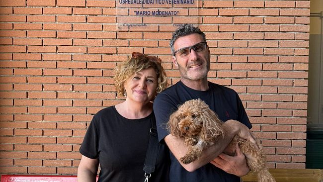 All’Università di Pisa il primo impianto di pacemaker su un cane