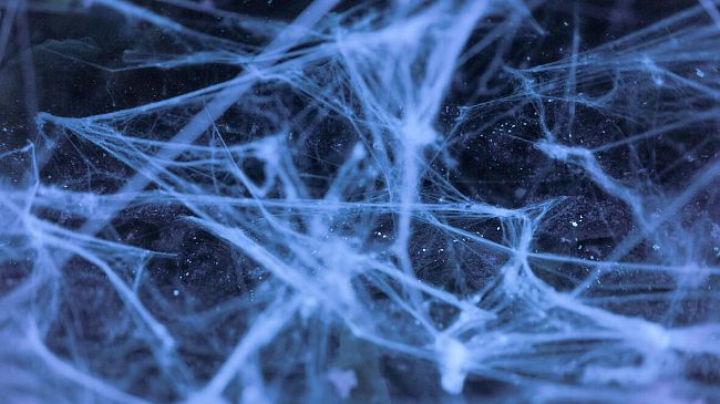 Mostra web per Laba Firenze e Suzhou Art & Design Technology Institut