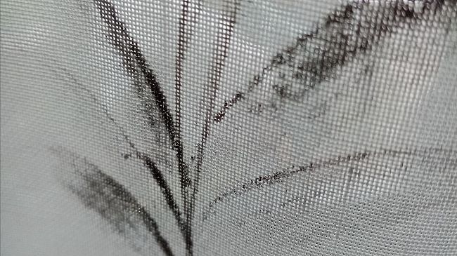 Intelligenza artificiale, un 'incubatore' a Firenze 