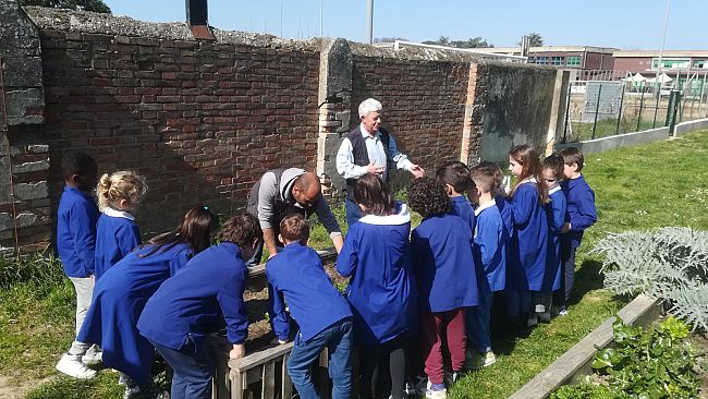 Orto in cassetta: gli alunni coltivano e consumano a mensa i loro prodotti