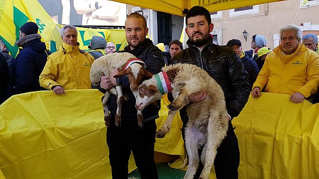 Pastori sardi, mobilitazione: si temono ripercussioni per il latte di pecora in Toscana