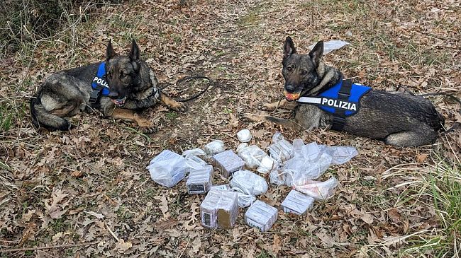 Automobilista rischia di soffocare ingerendo cocaina