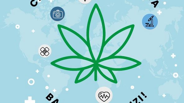 Cannabis terapeutica, Palagi e Bundu (SPC) con De Benedetto