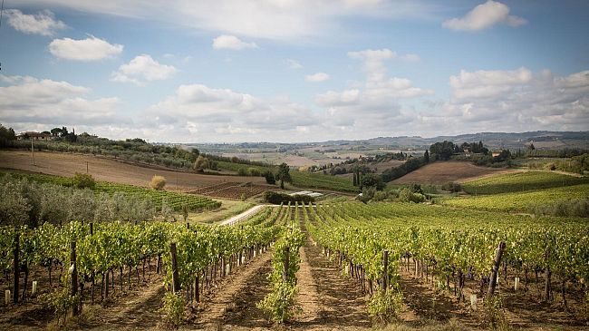 'Vini toscani, numeri in crescita che fanno ben sperare'