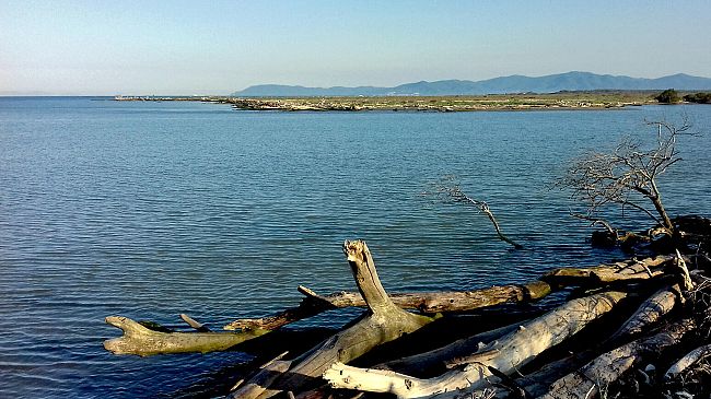 Il Mare più bello 2021