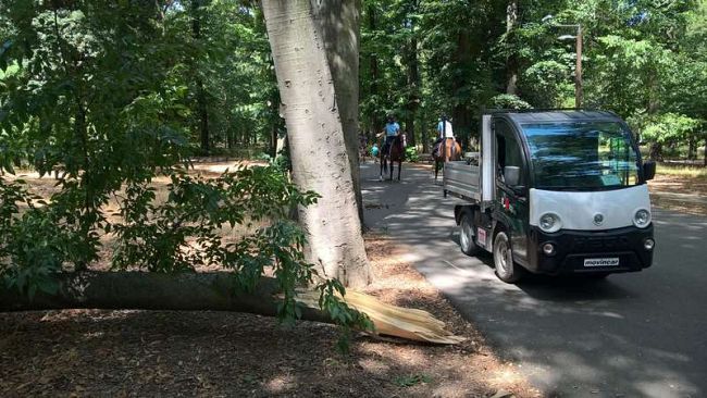 Rischio vento Grecale forte, torna a Firenze il codice giallo