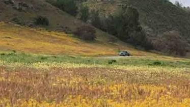 I comuni del Cuoio in corsa per i finanziamenti dei Progetti di Innovazione Urbana