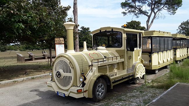 Natale in Valdelsa: tante iniziative dedicate a grandi e piccoli