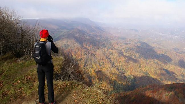 Autunno slow nel Parco nazionale Foreste casentinesi