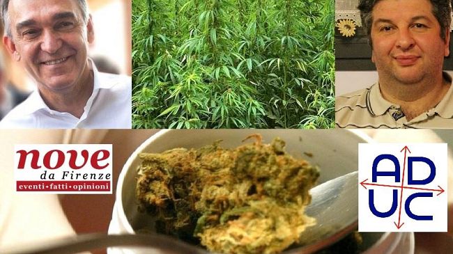 Marijuana terapeutica: Toscana ha una Legge stupefacente, non applicata