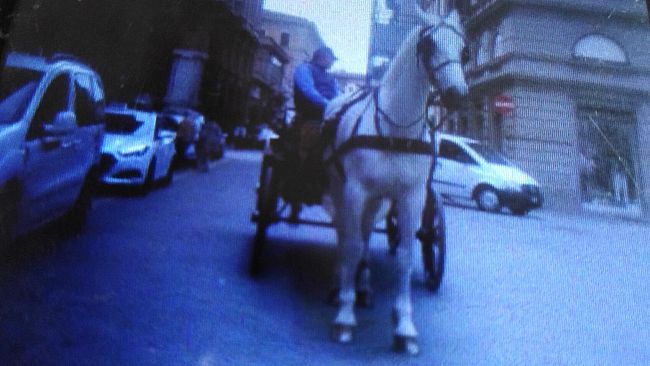 Italian Brass Week: Natale in Fiacchera per l'Inverno Fiorentino