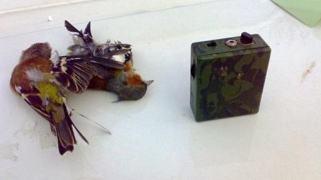 Provincia di Firenze: due giornate di preapertura