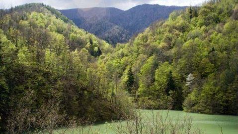 Parco delle Foreste Casentinesi: escursioni, arte, cultura e i primi colori dell'autunno