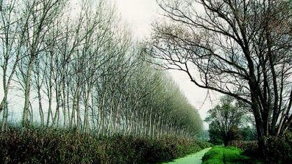 Con Anpilandia un'occasione per conoscere il torrente Mensola e Montececeri