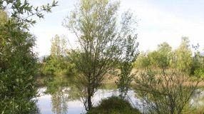 Parco dei Renai: aperto fino al 31 dicembre