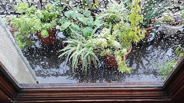 Prorogato a Firenze il codice giallo la pioggia