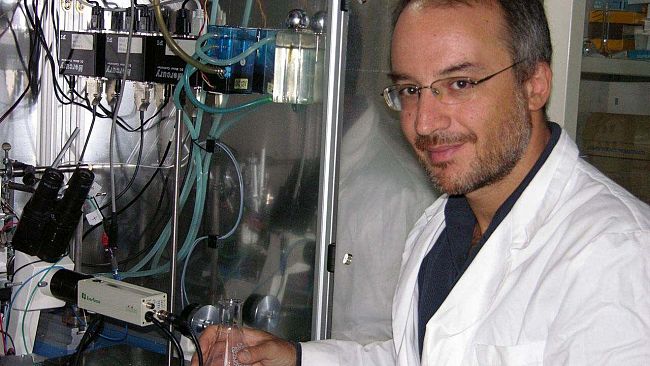 Le formiche alla guerra: conflitti sugli ecosistemi in una ricerca dell’Università di Firenze